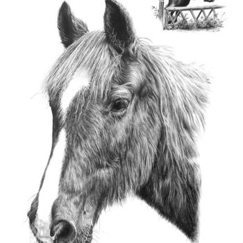 Disegno intitolato "horse-pet-portrait-…" da Anna Shipstone, Opera d'arte originale, Altro