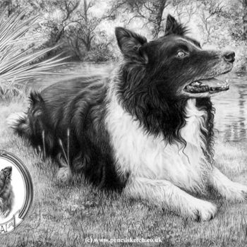 图画 标题为“dog-pencil-portrait…” 由Anna Shipstone, 原创艺术品, 其他