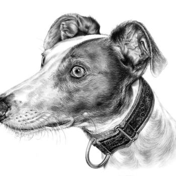 Zeichnungen mit dem Titel "pet-pencil-portrait…" von Anna Shipstone, Original-Kunstwerk, Andere