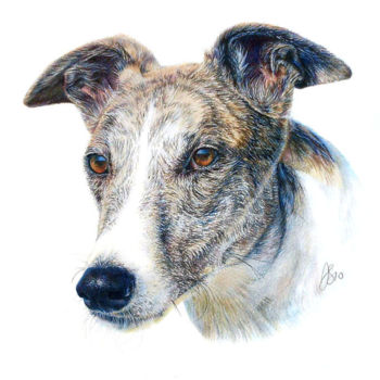 Drawing titled "pet-portrait-12.jpg" by Anna Shipstone, Original Artwork, Other