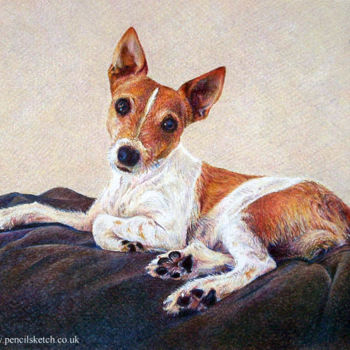 Drawing titled "dog-portrait-5.jpg" by Anna Shipstone, Original Artwork, Other