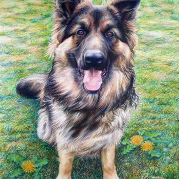 Rysunek zatytułowany „pet-dog-portrait.jpg” autorstwa Anna Shipstone, Oryginalna praca, Inny