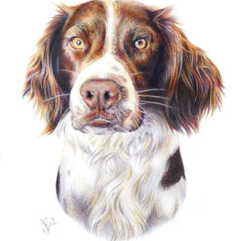 Рисунок под названием "dog-pet-portrait-3.…" - Anna Shipstone, Подлинное произведение искусства, Другой