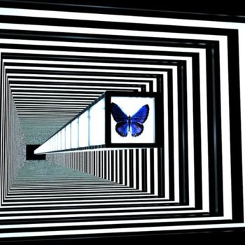 Scultura intitolato "butterfly" da Stas, Opera d'arte originale, Media misti