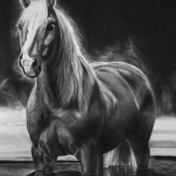 Desenho intitulada "The Horse Charcoal" por Steeven Shaw, Obras de arte originais, Carvão