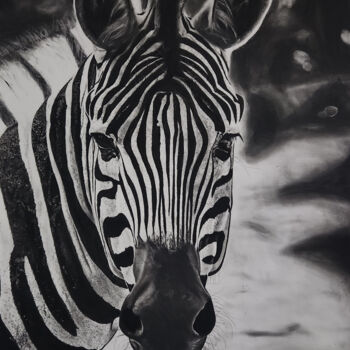 Drawing titled "The Zebra Art Drawi…" by Steeven Shaw, Original Artwork, Charcoal
