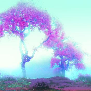 Photographie intitulée "Mystical Fog" par Steevens Hill, Œuvre d'art originale