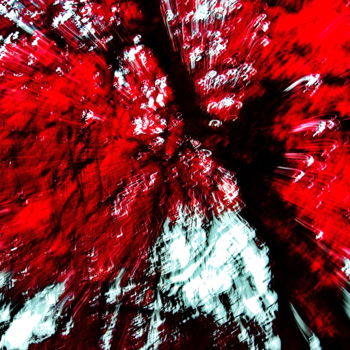 Photographie intitulée "Red Life Explosion" par Steevens Hill, Œuvre d'art originale, Autre