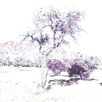 Photography titled "HighKey Tree Presen…" by Steevens Hill, Original Artwork, Digital Photography