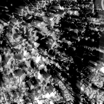 Фотография под названием "Discrétion" - Steevens Hill, Подлинное произведение искусства, Цифровая фотография