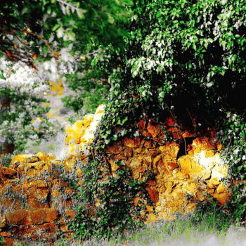 Фотография под названием "Old Stones Protected" - Steevens Hill, Подлинное произведение искусства, Другой