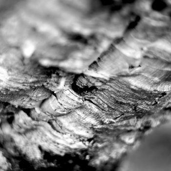 Fotografía titulada "Cork Texture" por Steevens Hill, Obra de arte original, Fotografía digital