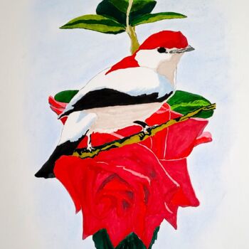 Rysunek zatytułowany „Cardinal à tête rou…” autorstwa Stefan, Oryginalna praca, Atrament