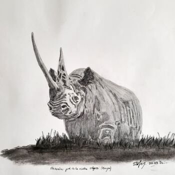 Drawing titled "Rhinocéros près de…" by Stefan, Original Artwork, Pencil