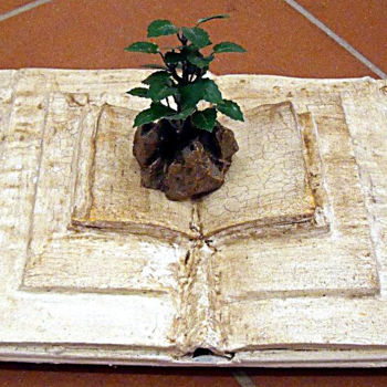 Scultura intitolato "Libro Seminato" da Stefania Sergi, Opera d'arte originale