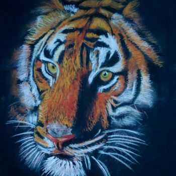 Painting titled "Tigre 2" by Stefano Di Marco, Original Artwork, Pastel