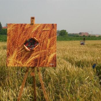 Pintura intitulada "Enigma di un campo…" por Stefano Rollero, Obras de arte originais