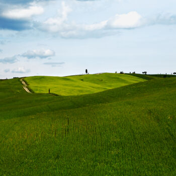 Fotografie mit dem Titel "toscana.jpg" von Stefano Sandonnini, Original-Kunstwerk, Digitale Fotografie