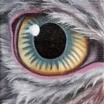 Peinture intitulée "étude sur toile œil…" par Steivan Loundou, Œuvre d'art originale, Huile Monté sur Carton