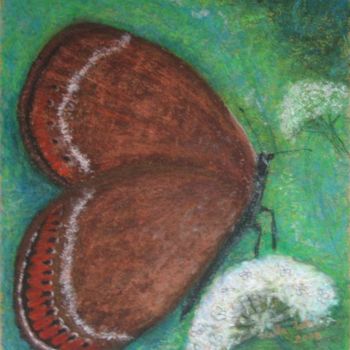Malerei mit dem Titel "Brown butterfly" von Stella Velka, Original-Kunstwerk, Öl