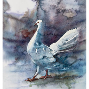 Painting titled "Colombe" by Stéphan Swolfs, Original Artwork, Watercolor