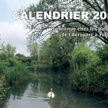 Fotografia intitolato "CALENDRIER 2019." da Stéphane Etienne, Opera d'arte originale