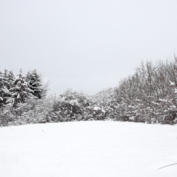 Fotografia intitulada "Quand la neige reco…" por Stéphane Etienne, Obras de arte originais, Fotografia digital