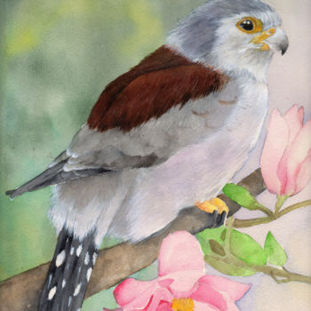 Pintura intitulada "faucon.jpg" por Stephanie Criado, Obras de arte originais, Aquarela