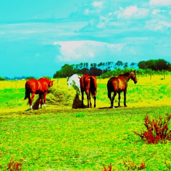 Fotografia intitolato "Horses" da Stéphanie Dambry, Opera d'arte originale, Fotografia digitale