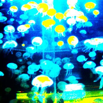 Fotografía titulada "Jellyfish" por Stéphanie Dambry, Obra de arte original, Fotografía digital