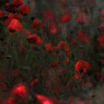 Photography titled "Mohn II" by Stephanie Jung, Original Artwork, Manipulated Photography