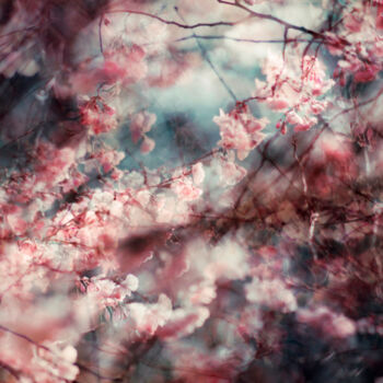 Fotografie getiteld "Blossom 01" door Stephanie Jung, Origineel Kunstwerk, Gemanipuleerde fotografie