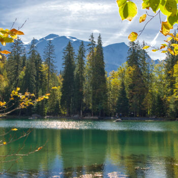 Photographie intitulée "Lac Vert" par Stephanie Vanhullebus, Œuvre d'art originale, Photographie numérique