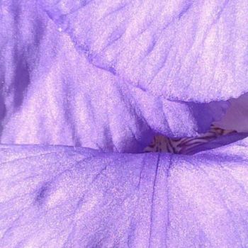 Fotografie getiteld "Iris irisé" door Steph, Origineel Kunstwerk