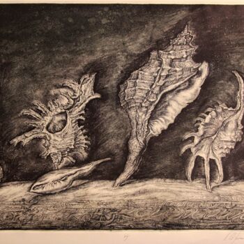 Printmaking titled "Shells" by Leonid Stroganov, Original Artwork, Etching