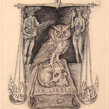 Prenten & gravures getiteld "Owl and a skull" door Leonid Stroganov, Origineel Kunstwerk, Ets