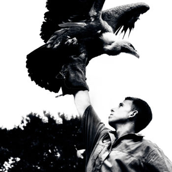 Fotografia intitolato "King of vultures" da Stwayne Keubrick, Opera d'arte originale