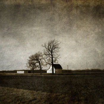 Фотография под названием "Barn with Trees" - Skylucy, Подлинное произведение искусства