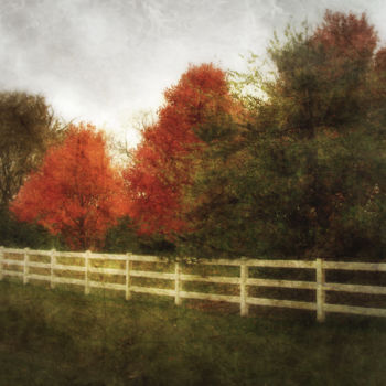 Fotografia intitolato "Rural Autumn" da Skylucy, Opera d'arte originale