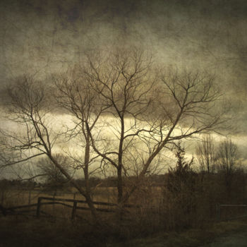Photography titled "A Wyeth Landscape" by Skylucy, Original Artwork