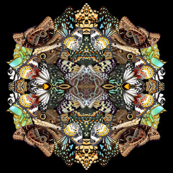 Digitale Kunst mit dem Titel "Metamorphosis" von Sumit Ratta, Original-Kunstwerk, Digitale Malerei