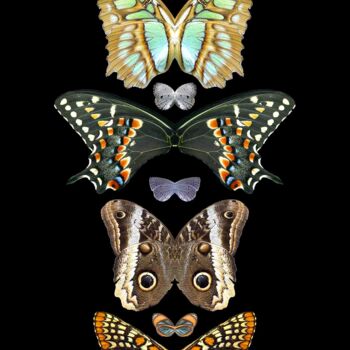 Цифровое искусство под названием "Metamorphosis 2" - Sumit Ratta, Подлинное произведение искусства, Цифровая живопись