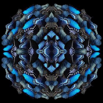 Digitale Kunst getiteld "Midnight morphosis" door Sumit Ratta, Origineel Kunstwerk, Digitaal Schilderwerk