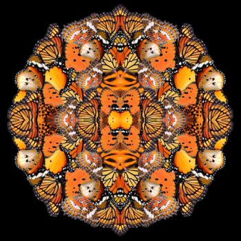 Digitale Kunst mit dem Titel "Daylight metamorpho…" von Sumit Ratta, Original-Kunstwerk, Digitale Malerei