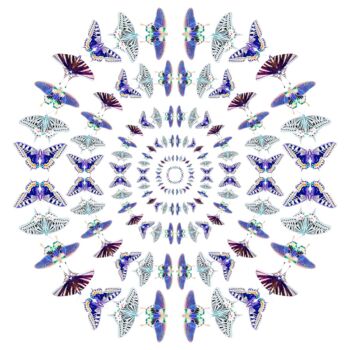 Arts numériques intitulée "Winged rings" par Sumit Ratta, Œuvre d'art originale
