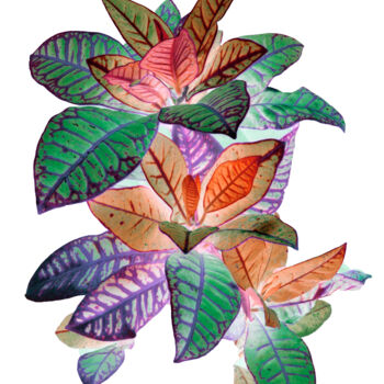 Obrazy i ryciny zatytułowany „Heavenly plants Nº06” autorstwa Sumit Ratta, Oryginalna praca, Cyfrowy wydruk