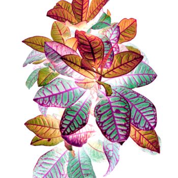 Printmaking titled "Heavenly plants Nº07" by Sumit Ratta, Original Artwork, Digital Print