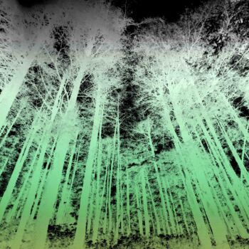 Photographie intitulée "Forest Aurora" par Sumit Ratta, Œuvre d'art originale, Photographie manipulée