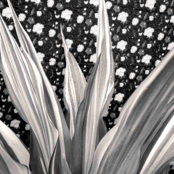 Photography titled "Dark botanic" by Sumit Ratta, Original Artwork, Digital Photography