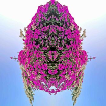 「Bougainvillea bug」というタイトルの写真撮影 Sumit Rattaによって, オリジナルのアートワーク, 操作する